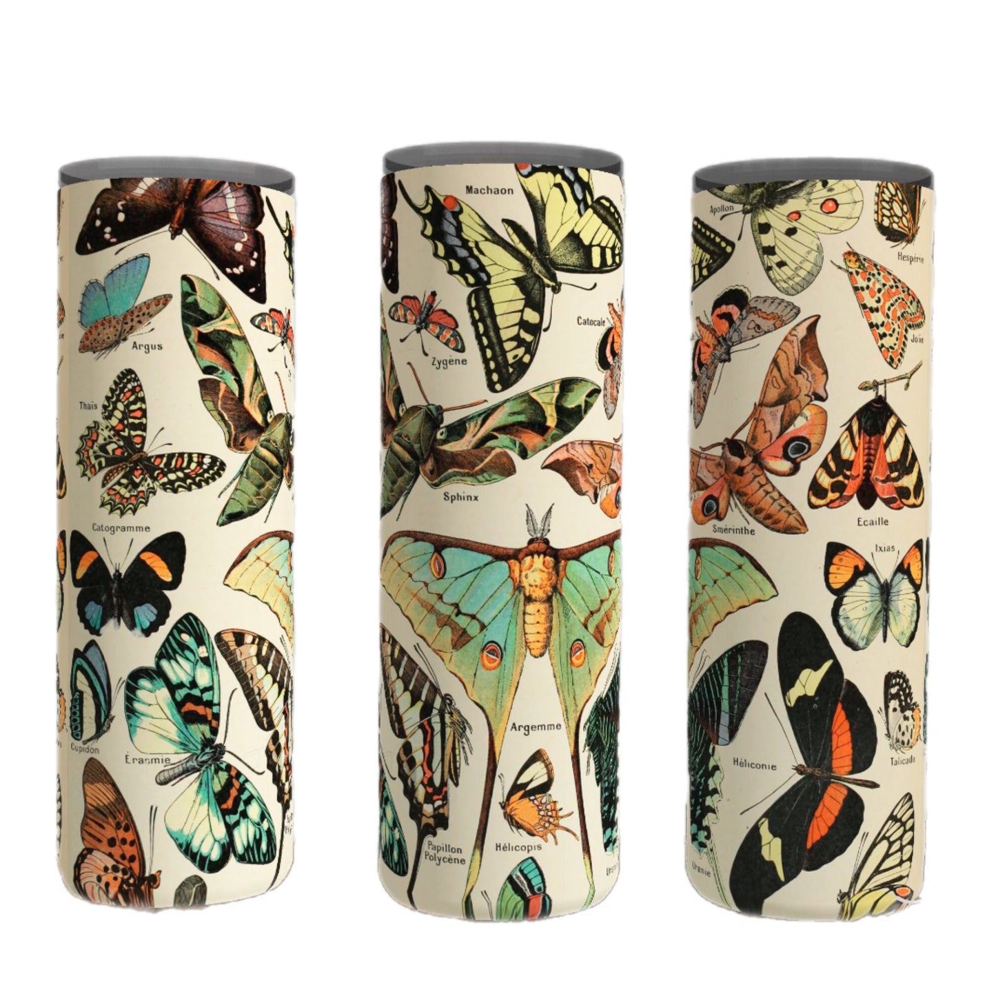 Moths And Butterflies Tumbler